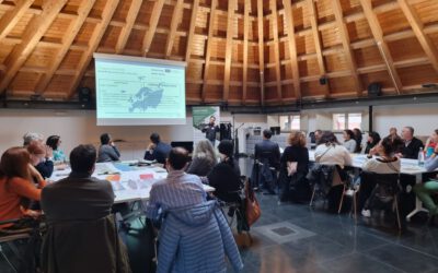 Stakeholders’ involvement: seastorm risk workshop