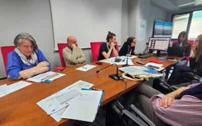 CO-CREATING ADAPTATION STRATEGIES