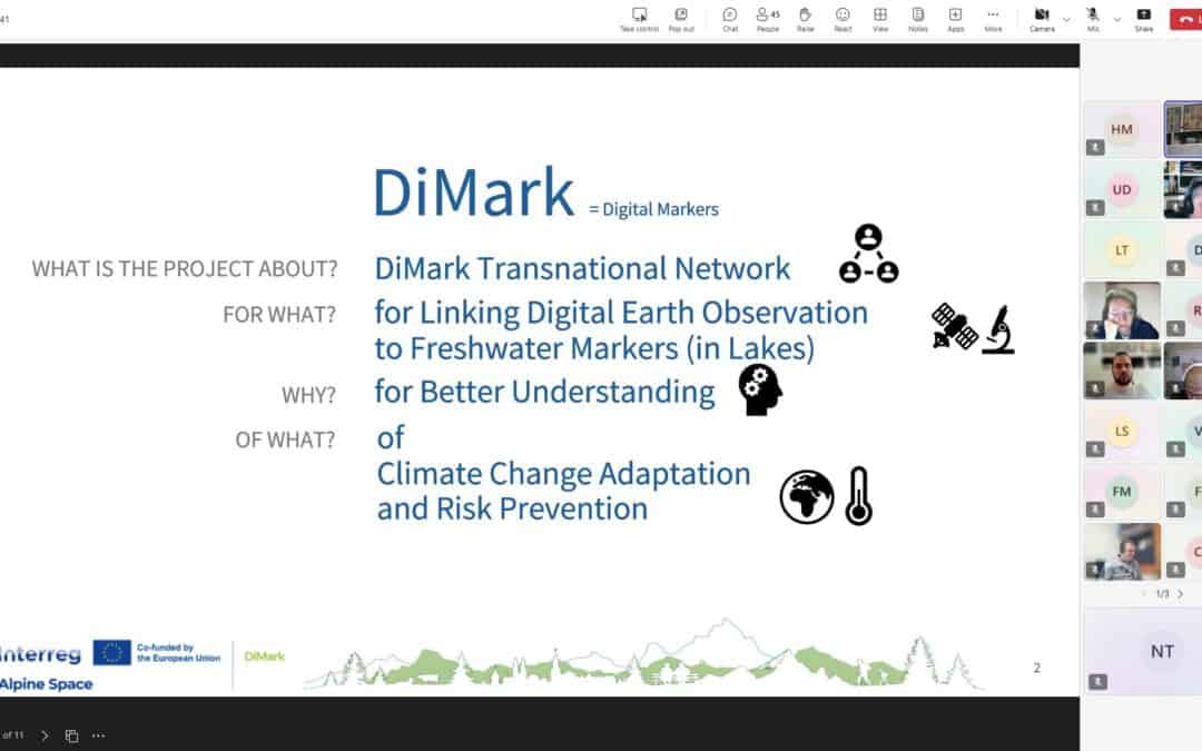 DiMark | One-Month Recap