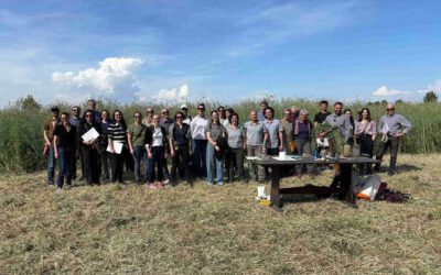 Exploring Regenerative Farming at Vallevecchia: DIVERSE Partners Visit Veneto Pilot Site