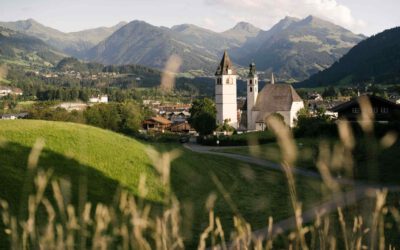 Alpine Survey 2025