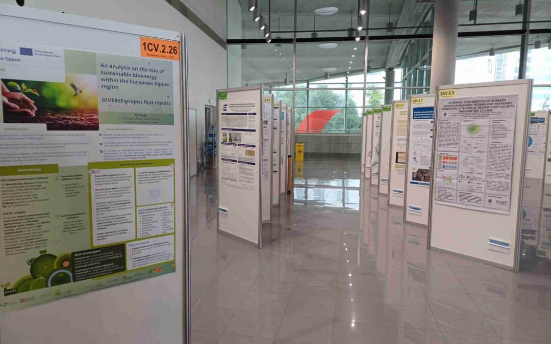 DIVERSE at the EUBCE 2025!