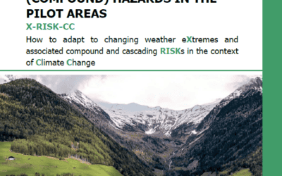 Report on past and future risk pathways