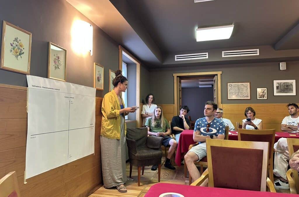 Towards a Shared Vision for the Future of Valmalenco: Strategic Ideas for a Sustainable Mountain Transition