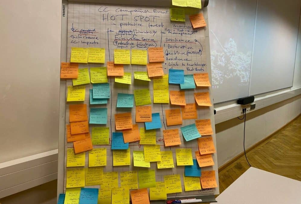 18th-19th November 2024, Innsbruck (Austria): Set-up and delivery of the 5th Project Management Meeting