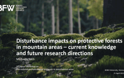 25th-26th April 2025 Vienna (Austria): MOSAIC was present at the 2nd Alpine Workshop on Fire-induced geohydrological processes in mountainous areas