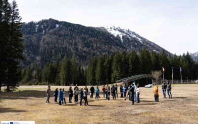 BeyondSnow PWAsTransition strategies now available