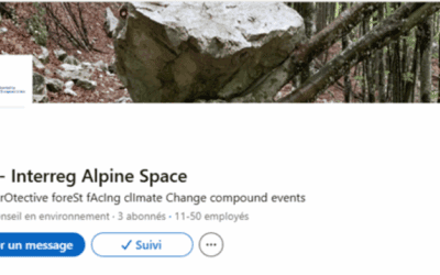 25th July 2025: the new LinkedIn page dedicated to the project has been launched.