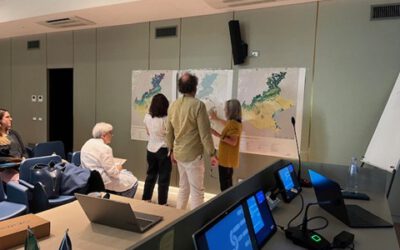 Pressures and threats to ecological connectivity: revisit the workshop!