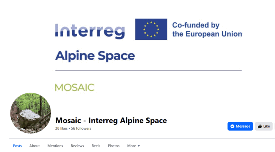 17th March 2025: MOSAIC facebook page has been launched