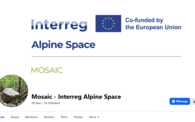 17th March 2025: MOSAIC facebook page has been launched