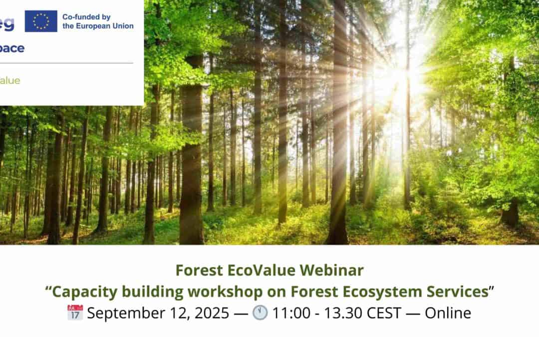 Forest EcoValue: Webinar “Capacity building workshop on Forest Ecosystem Services”