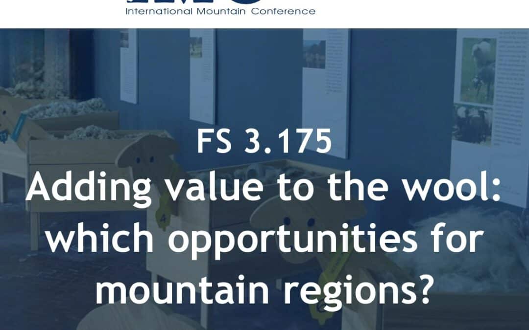 AlpTextyles at the International Mountain Conference 2025