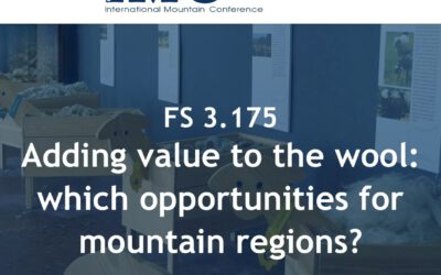 AlpTextyles at the International Mountain Conference 2025