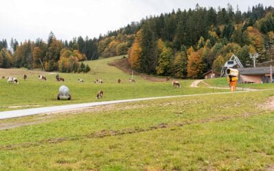 Narrative-building, a tool for change management