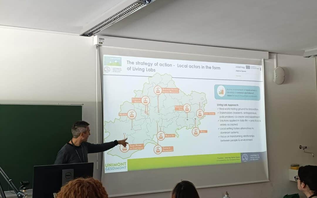 Insights from IMC 2025 : TranStat contributions and dissemination