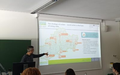 Insights from IMC 2025 : TranStat contributions and dissemination