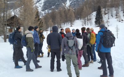 Wildlife and outdoor activities in Alpe Devero – Pilot site visit to Aree Protette dell’Ossola