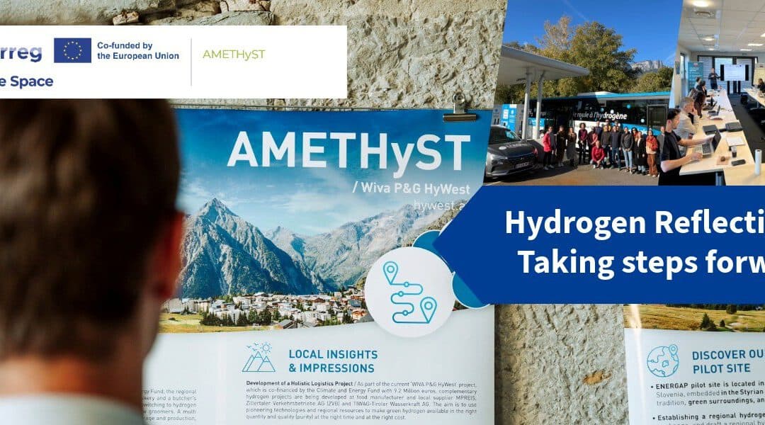 The final version of the AMETHyST Newsletter is OUT