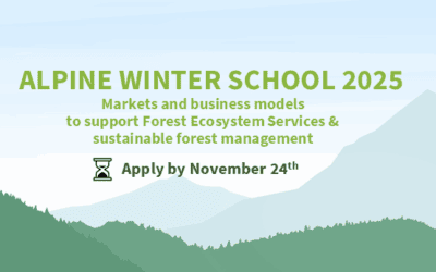 Rethink Forest Value: Join the Alpine Winter School 2025