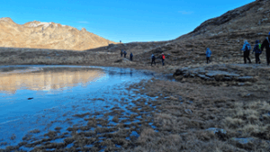 wetland alpine environment