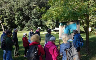 Local events in pilot sites