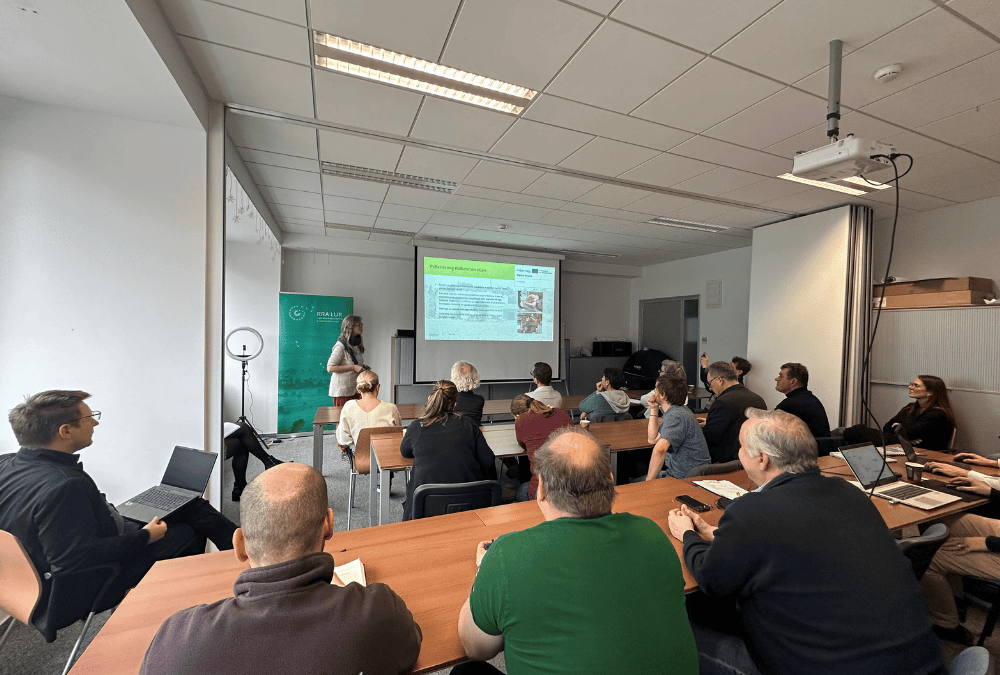 Exploring sustainable biomass use in the Ljubljana Marsh: integration of conservation and bioenergy