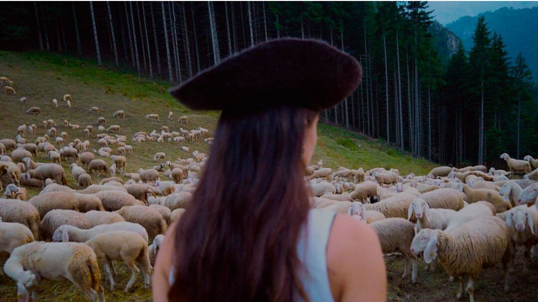 Dune On Woolshed: Call for Ideas Now Open