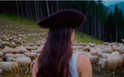 Dune On Woolshed: Call for Ideas Now Open