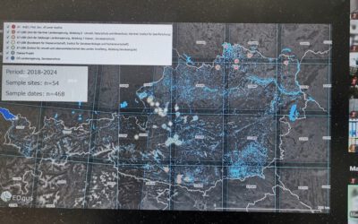 DiMark meeting with observers in Austria