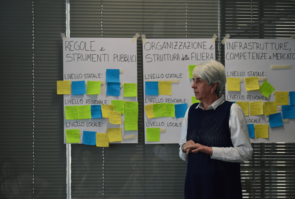 Sustainable Biomass for Energy in Piedmont: Stakeholders Meet in the Second DIVERSE Focus Lab