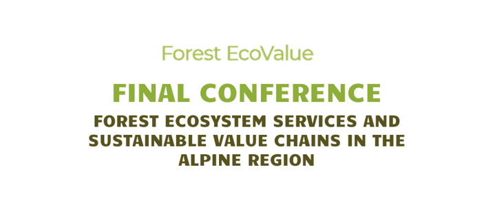 Screenshot 2026-03-03 170724