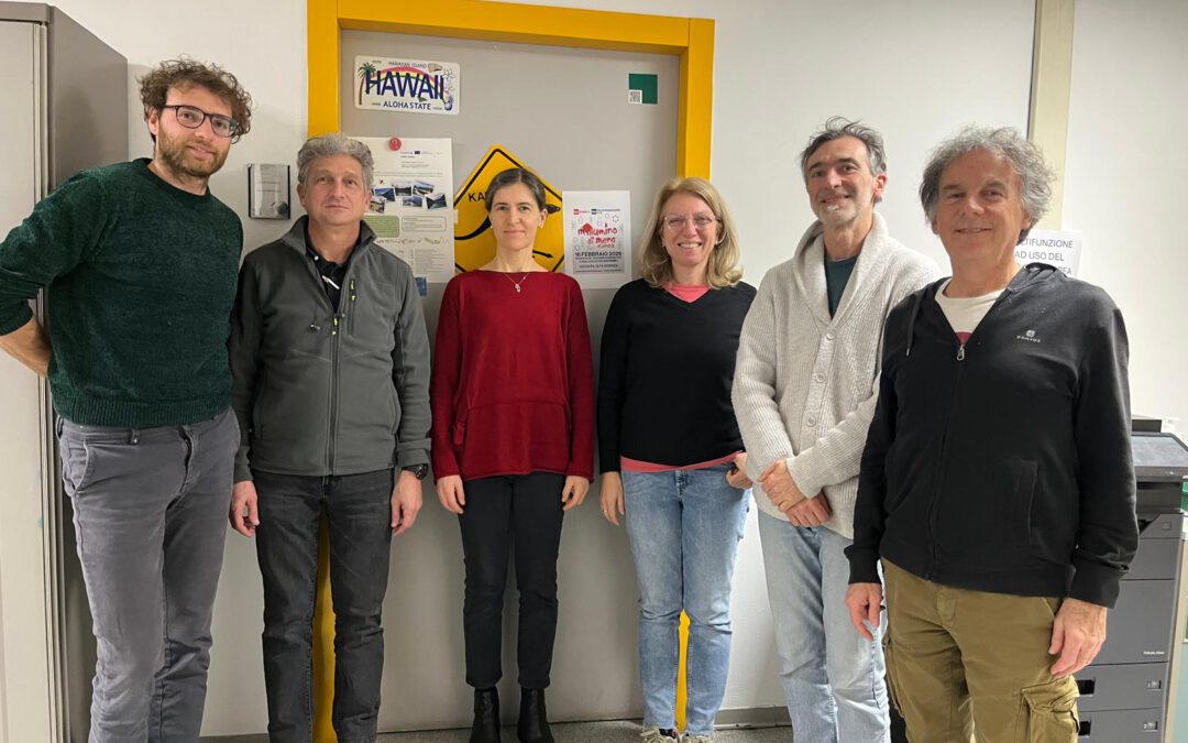 DiMark meeting with observers in Italy