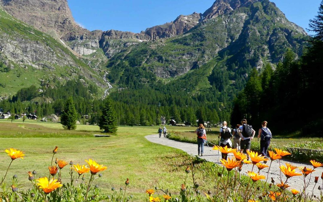 One Health in Practice – Connecting Biodiversity and Human Health in the Alps