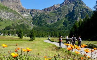 One Health in Practice – Connecting Biodiversity and Human Health in the Alps