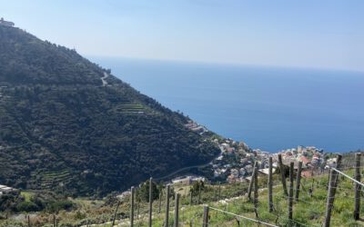 RESPOnD Consortium Meeting in Cinque Terre:  Experiencing Climate Resilience in the Field