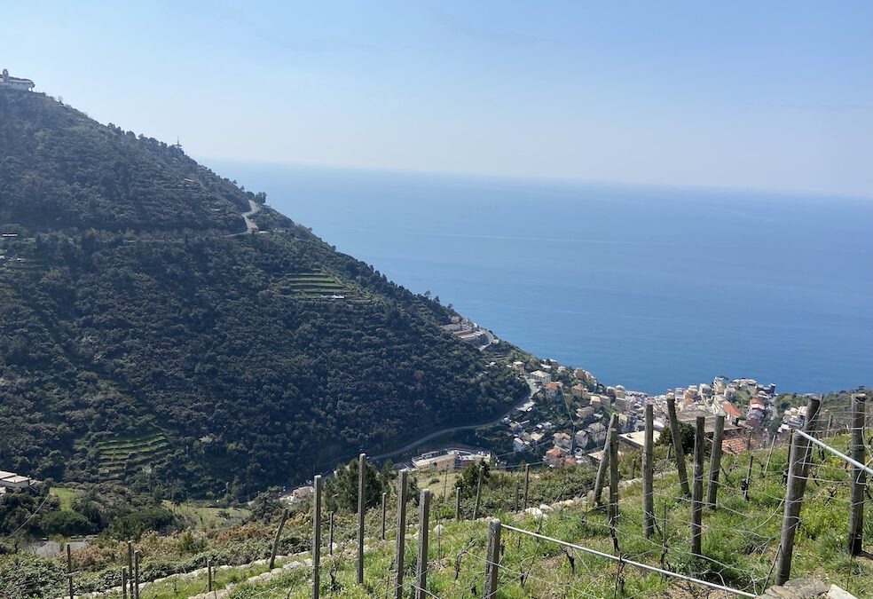 RESPOnD Consortium Meeting in Cinque Terre:  Experiencing Climate Resilience in the Field