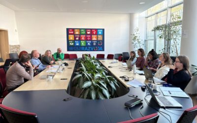 Young People in Maribor Co-Create Solutions: Successful Dialogue on Youth Participation in Decision-Making