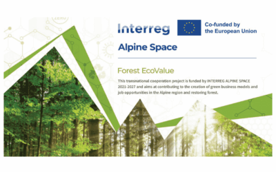 Forest EcoValue concludes his journey: advancing forest ecosystem services in the Alpine region
