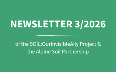 Newsletter 3/2026