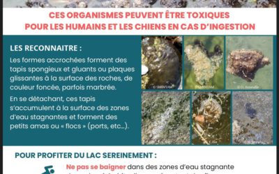 DiMark connects scientific research with public awareness in France