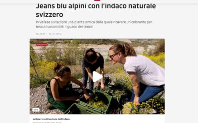 Blue jeans with Made-in-the-Alps indigo
